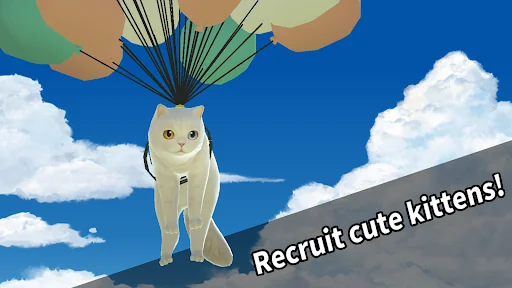 Kitty Cat Resort