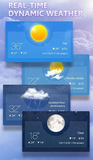 Weather Forecast- Live Weather