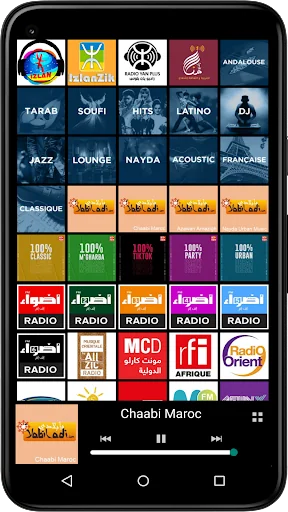 Radios Maroc screenshot 2