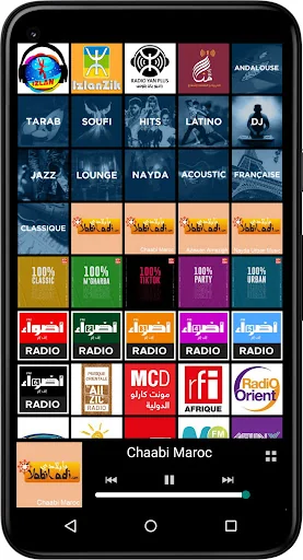 Radios Maroc screenshot 4