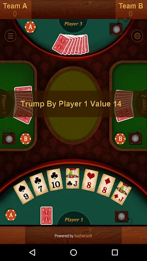 28 Card Game (Twenty Eight) screenshot 3