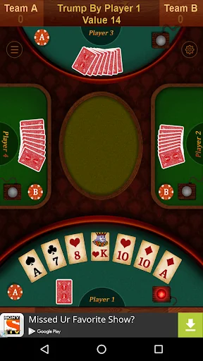 28 Card Game (Twenty Eight) screenshot 4