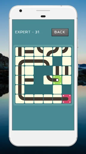 Slide And Roll - Brain Puzzle