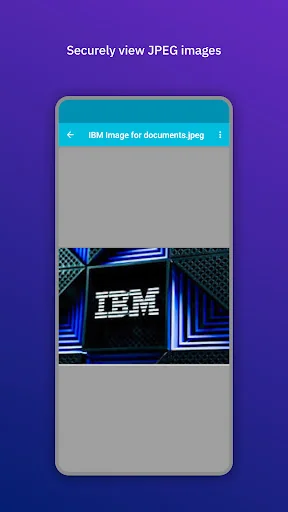 IBM MaaS360 Viewer