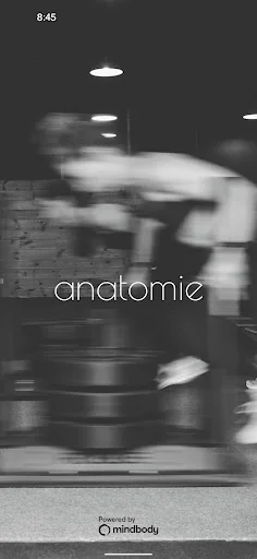 ANATOMIE