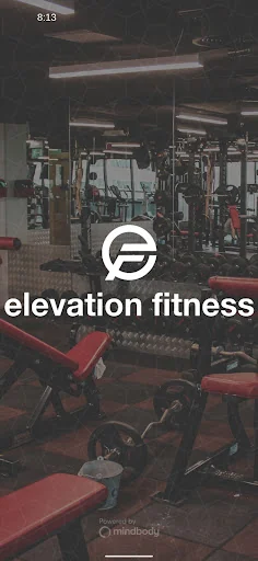 Elevation Fitness Dubai