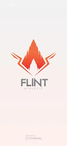 Flint Sports Academy