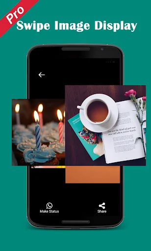 Pro Status download Video Imag