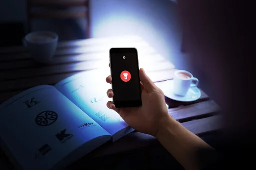 Flashlight with camera