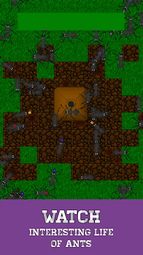 Ant Evolution: Ant Simulator