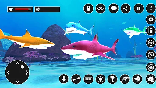 shark racing: sharks game
