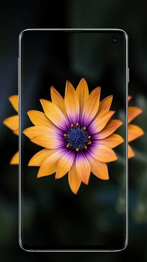 Flower Wallpaper