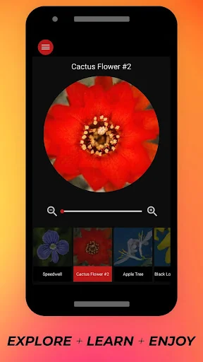 Flowers Under Microscope