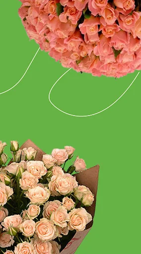 Flowers.ua - flowers delivery screenshot 2