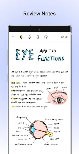 Noteshelf - Notes, Annotations