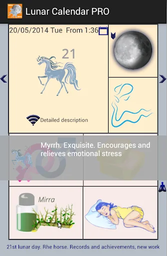 Lunar Calendar PRO screenshot 3