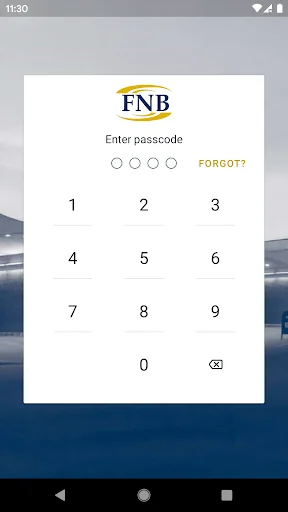 Mobile FNB
