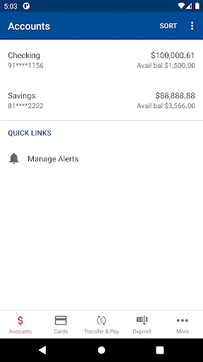 e-FNB Mobile Banking screenshot 3