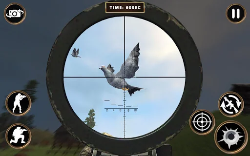 Pigeon Hunting & Shooting Game