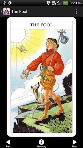 Beginner's Guide to Tarot screenshot 1