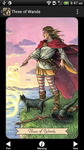 Everyday Witch Tarot