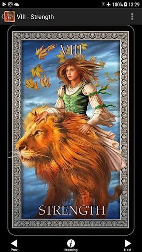 Ciro's Tarot Grand Luxe
