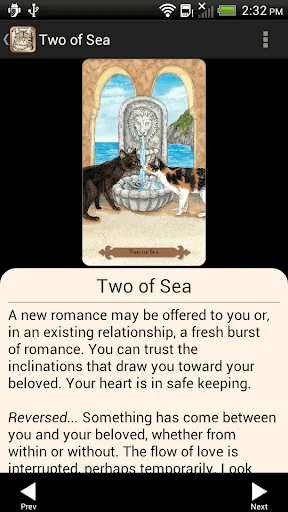 Mystical Cats Tarot screenshot 2