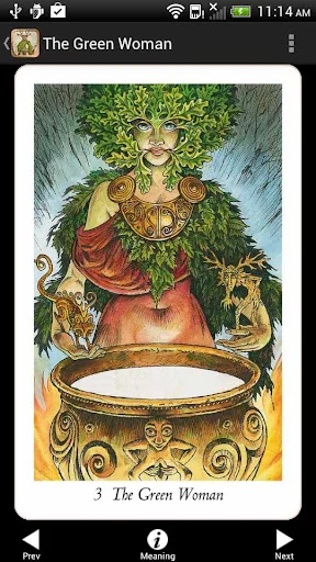 Wildwood Tarot screenshot 1