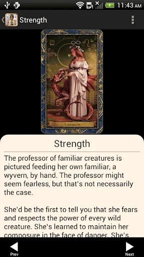 Wizards Tarot screenshot 2