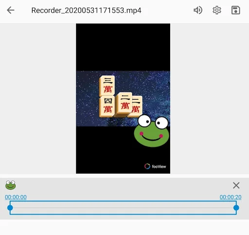 FV Video Player Editor