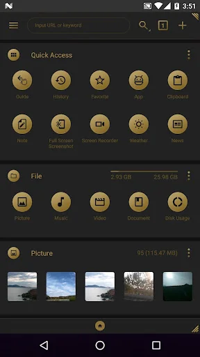 fooViewTheme - Black Golden