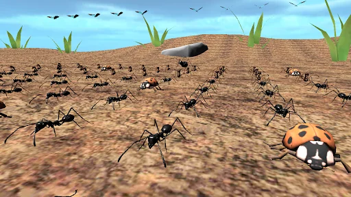 Bug Battle Simulator