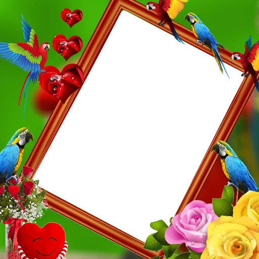 Parrot Insta DP