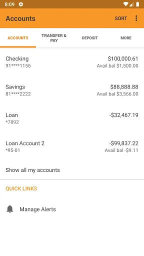 Four Seasons FCU NexGen Mobile screenshot 3