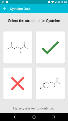 Amino Acid Chemistry Revision screenshot 4
