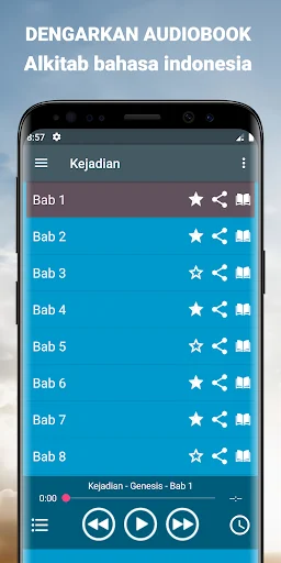 Audio Alkitab bahasa indonesia screenshot 2