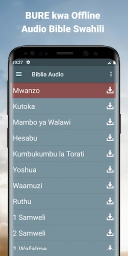 Audio Bible Swahili offline