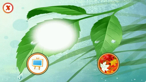 Leaf Photo Frames, Effects