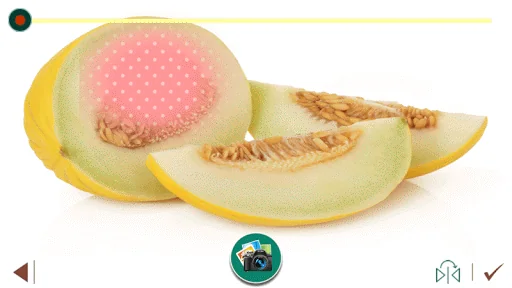 Fruit Photo Frame Collage screenshot 4
