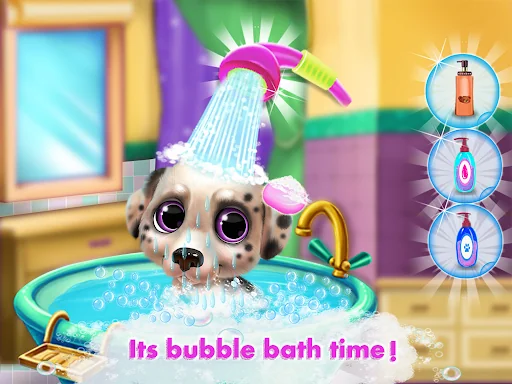 Puppy Pet Dog Daycare - Virtua
