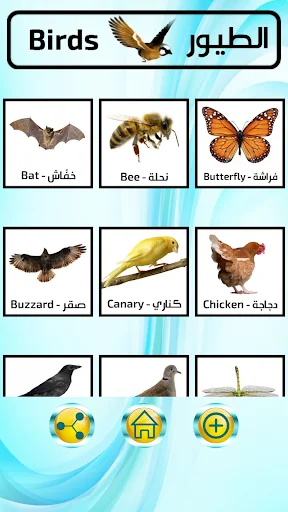 القاموس المُصوّر الناطق screenshot 2
