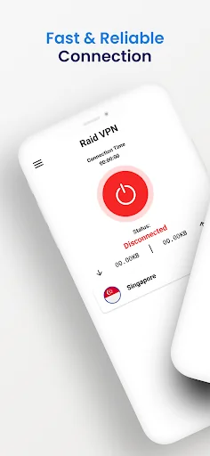 Raid VPN - Secure VPN Proxy