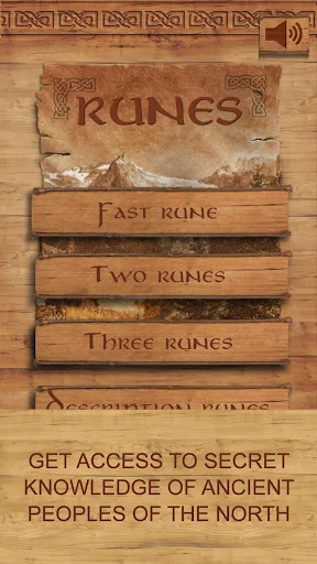 Runes - pocket advisor screenshot 1