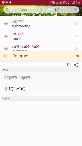 Amharic Dictionary - Translate screenshot 3