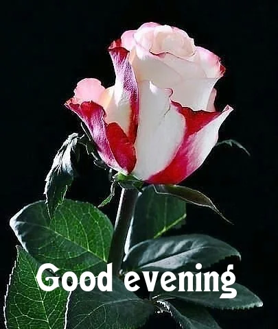 Good Evening Images 2024