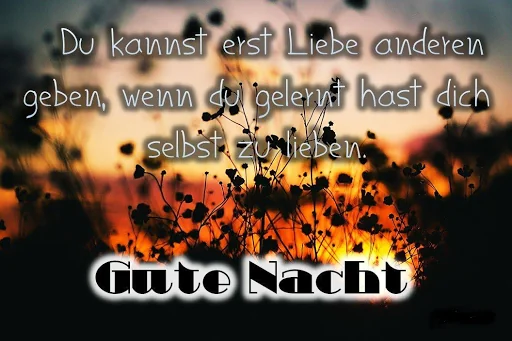 Guten Abend Gute Nach