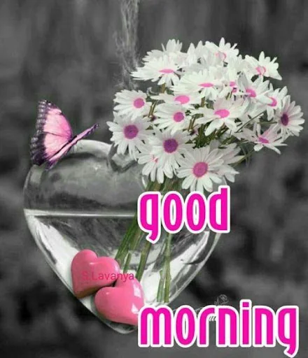 Good Morning Flowers