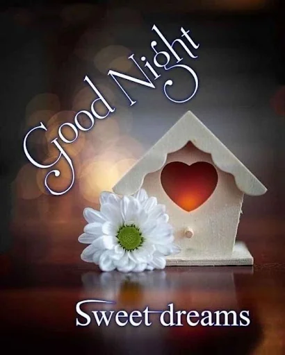 Good Night good evening images screenshot 4