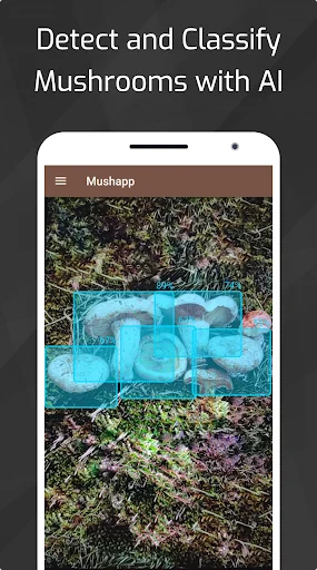 Mushrooms - AI Identifier