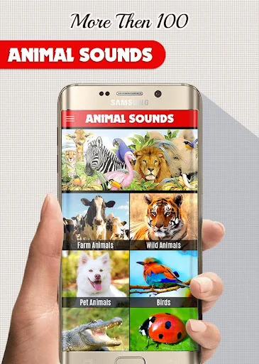 Animal Sounds: With Images